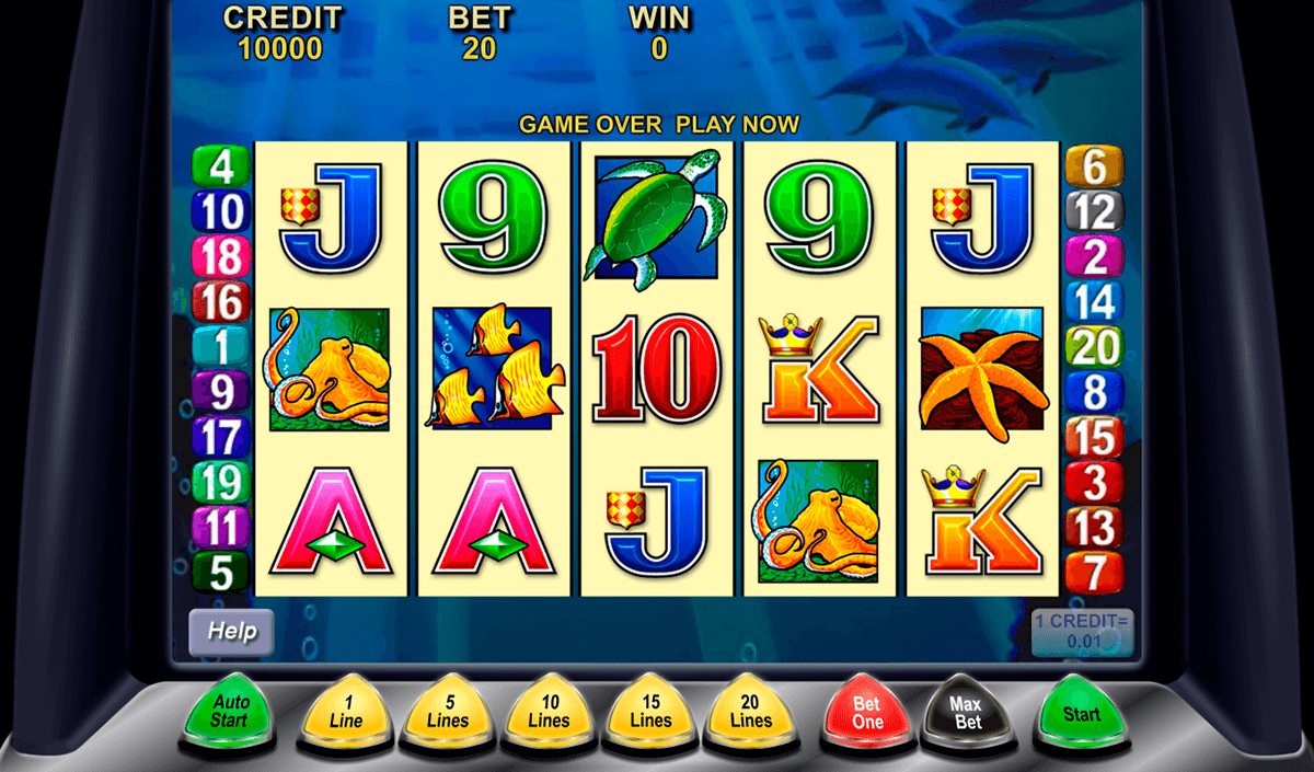 dolphin treasure aristocrat