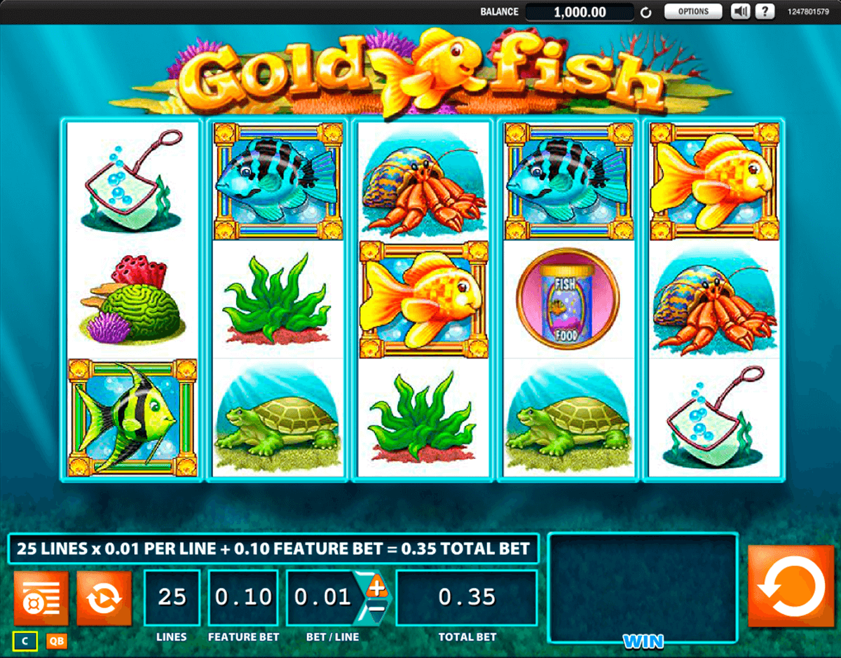 gold fish wms 1 